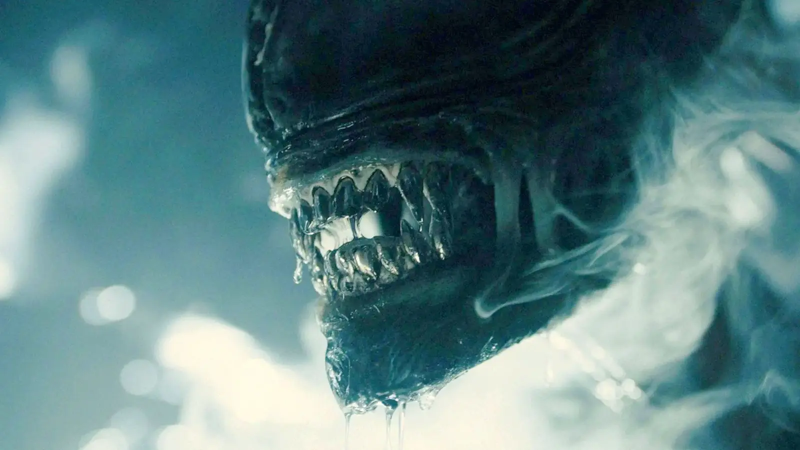Romulus Sequel Theory conectează filmul cu ultimul crossover AvP