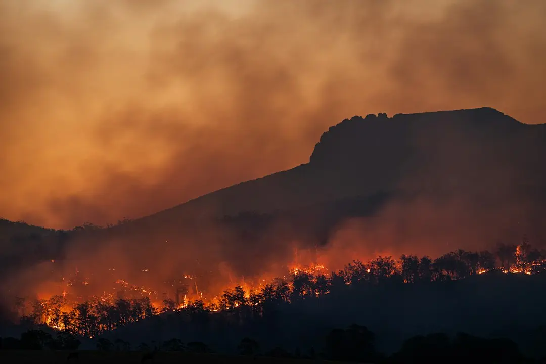 Sezonul 5 al Fire Country începe fără Jake Crawford — unde este personajul?